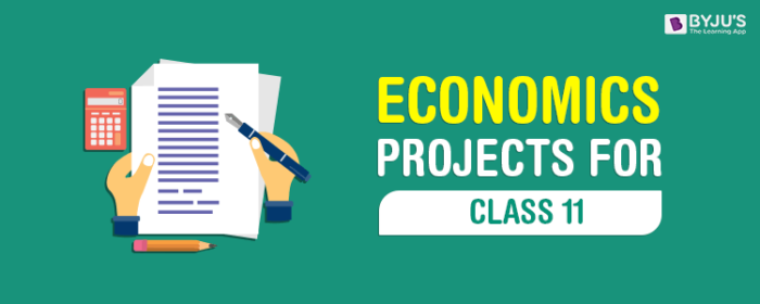 Class 11 Economics Project Class 11 Economics Project