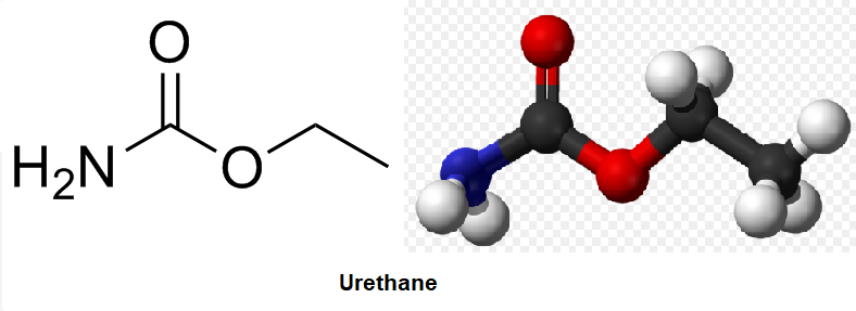 thumbnail image 2 of Red Urethane Motor & Transmission Mount Kit For VW Beetle & T1 Bus – Fits 1962-1972 2 of 14