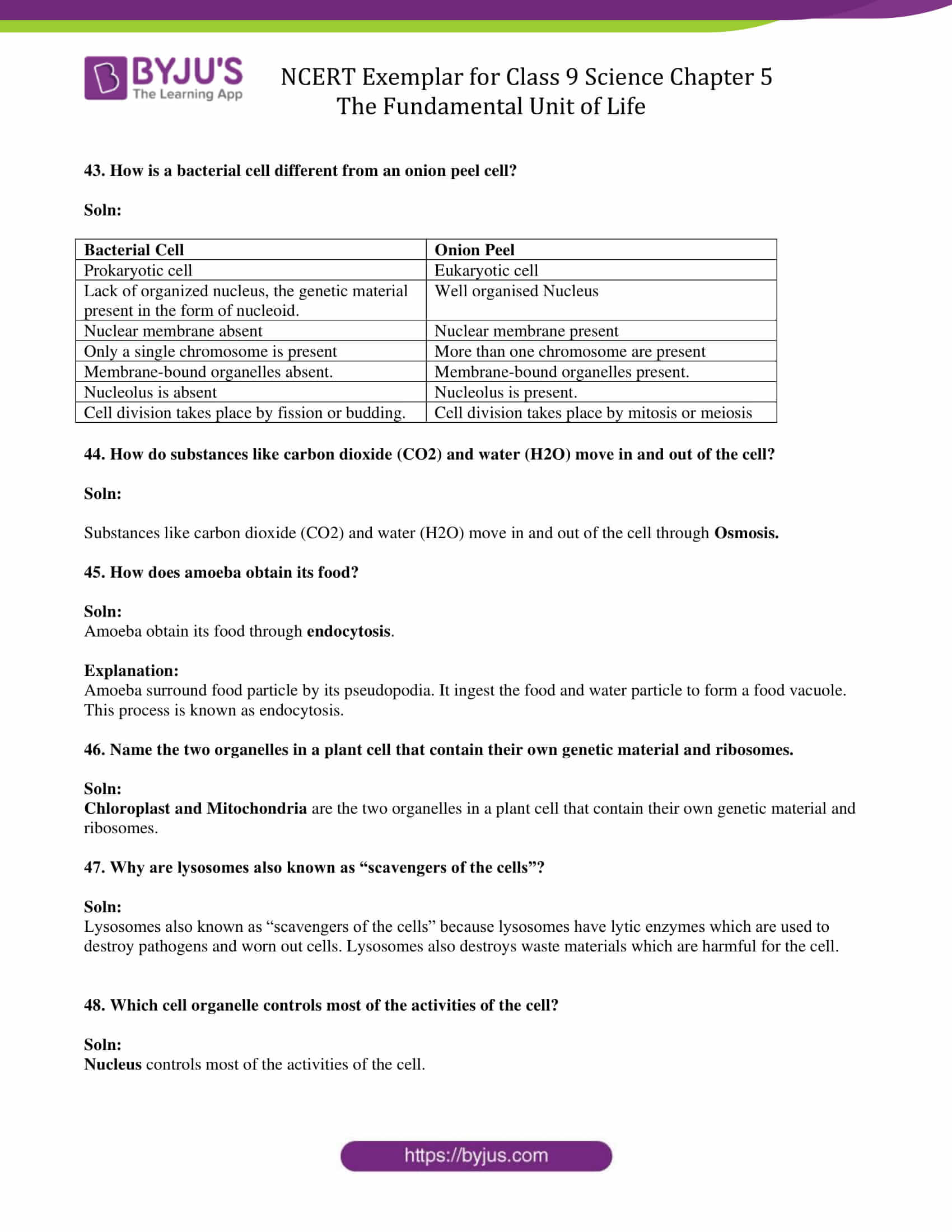 NCERT Exemplar solution class 9 Chapter 5 12