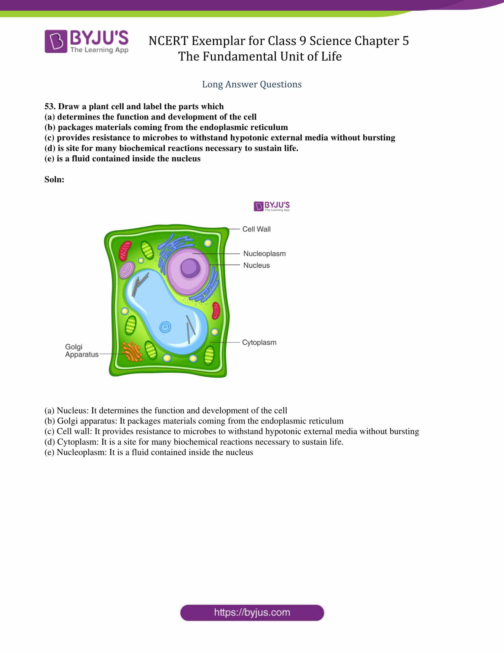 NCERT Exemplar solution class 9 Chapter 5 14