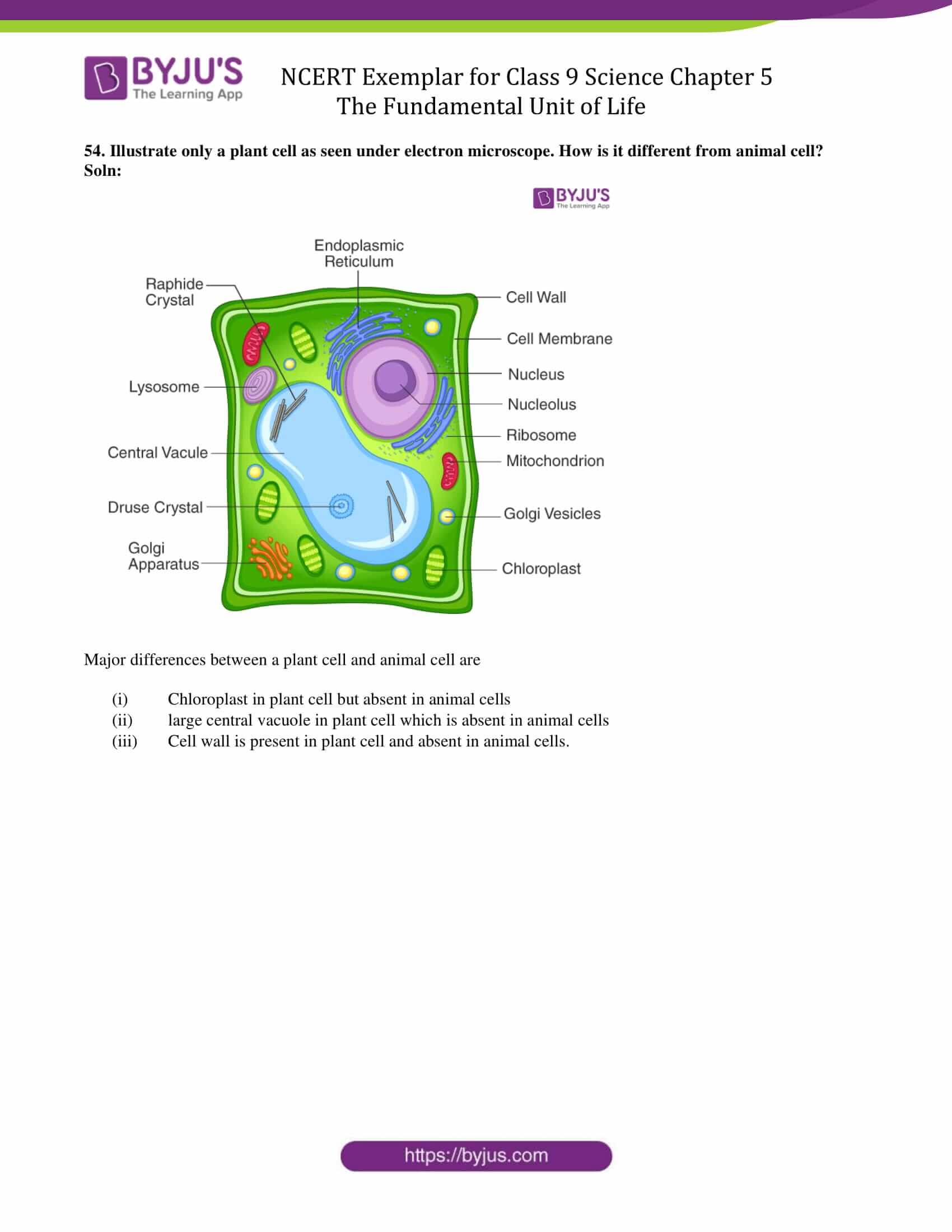 NCERT Exemplar solution class 9 Chapter 5 15