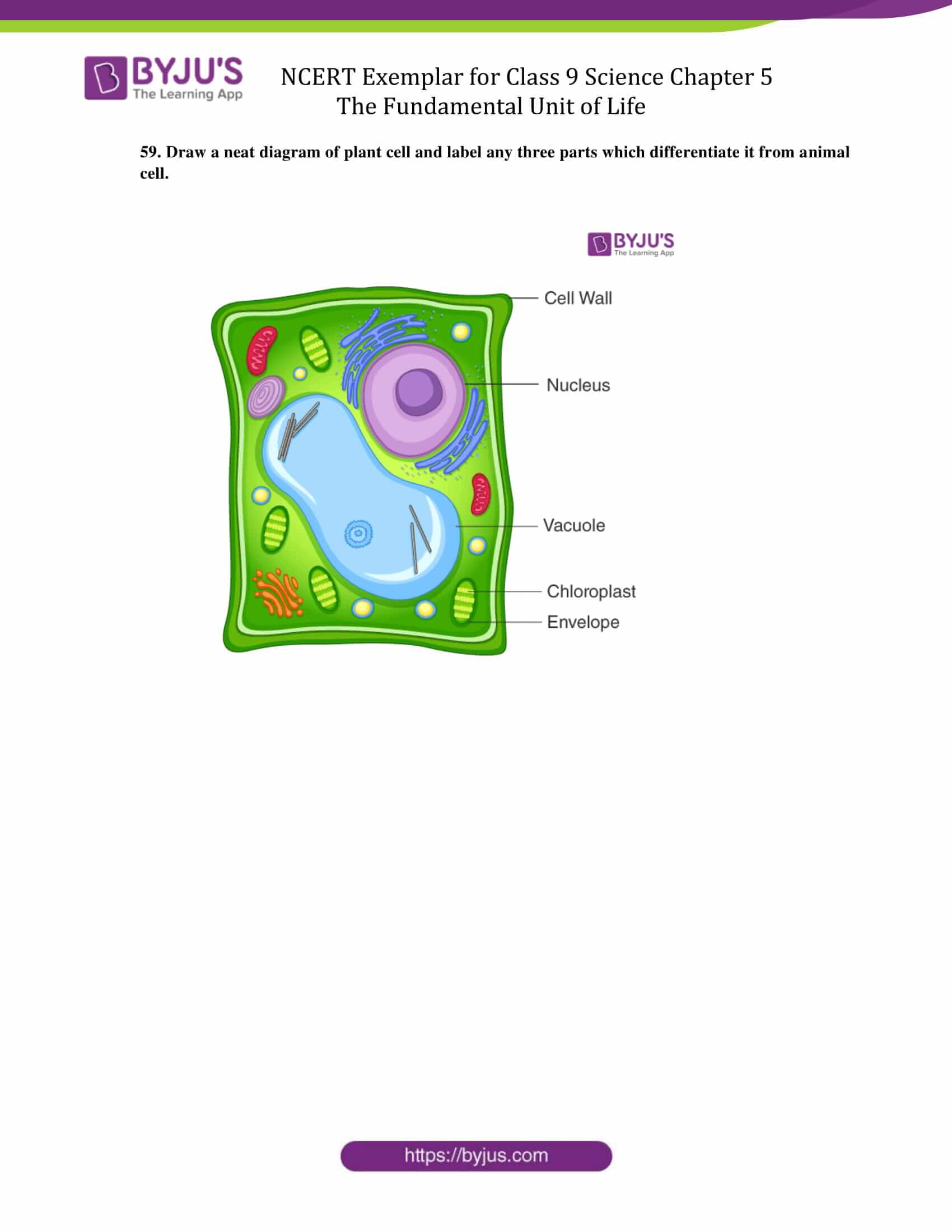 NCERT Text Book+Exemplar Problems-Solutions Science Class 9 - MTG Learning  Media