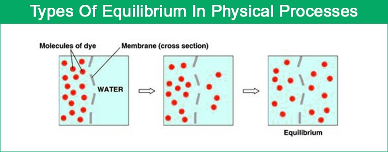 Physical Equilibrium Physical Equilibrium
