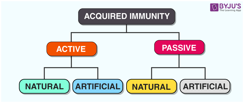 Acquired Immunity