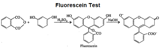 Fluorescein Test