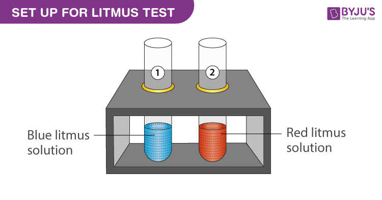 NaOH reacts with red litmus solution