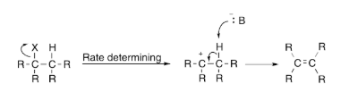 E1 Reaction