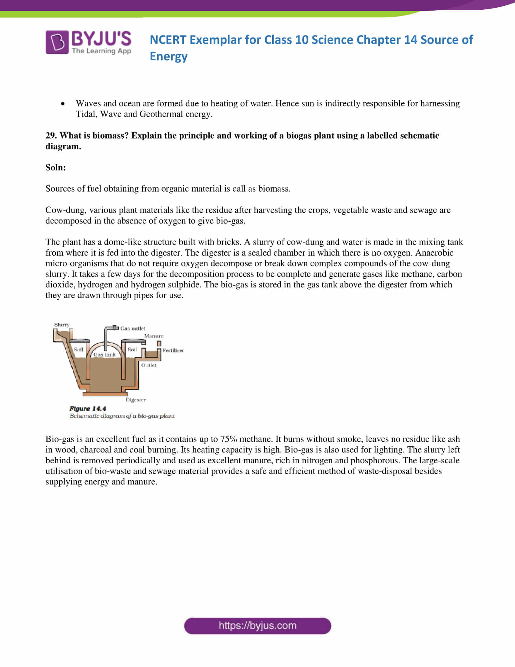 Ncert Exemplar Class 10 Science Solutions Chapter 14 Sources Of Energy