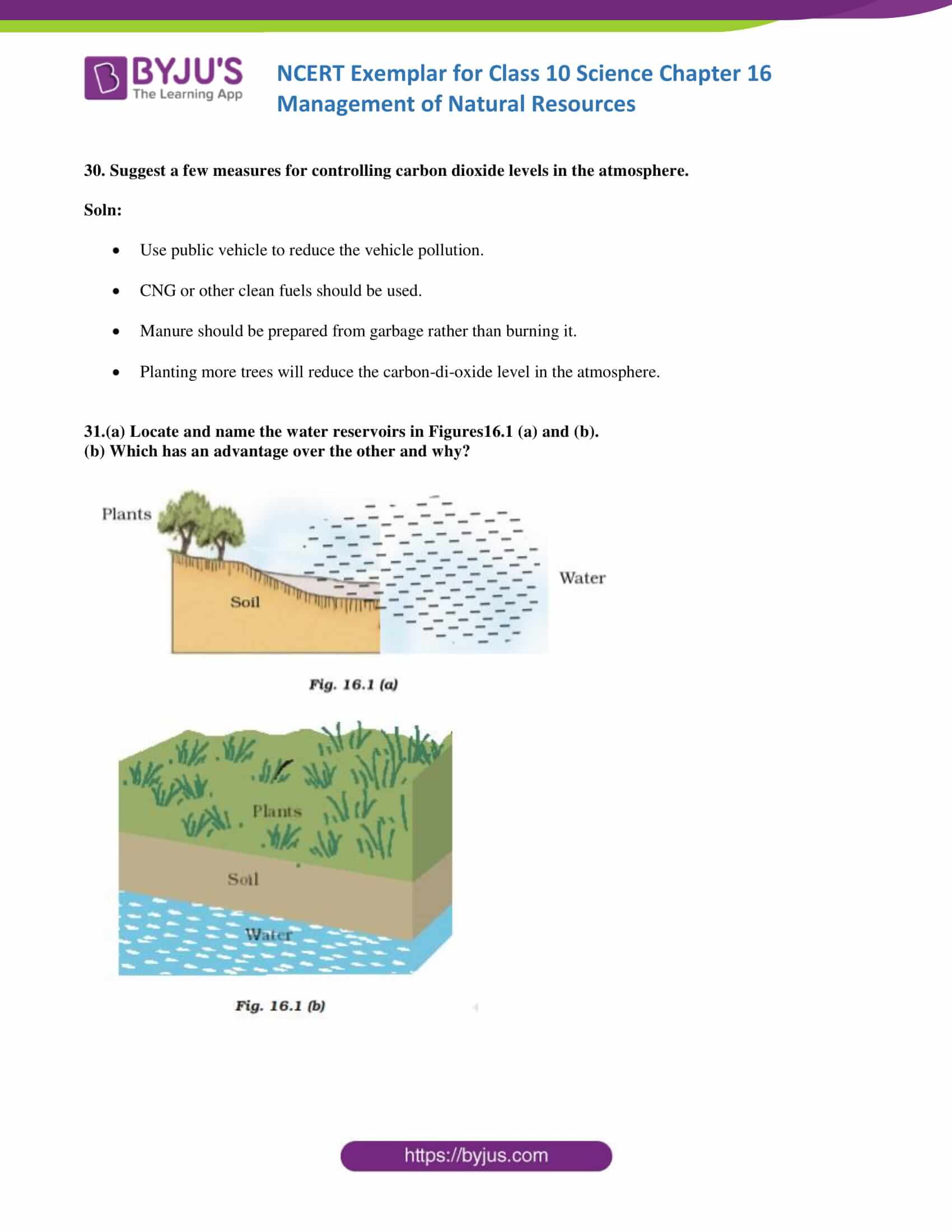 NCERT Exemplar solution class 10 Science Chapter 16 part 10