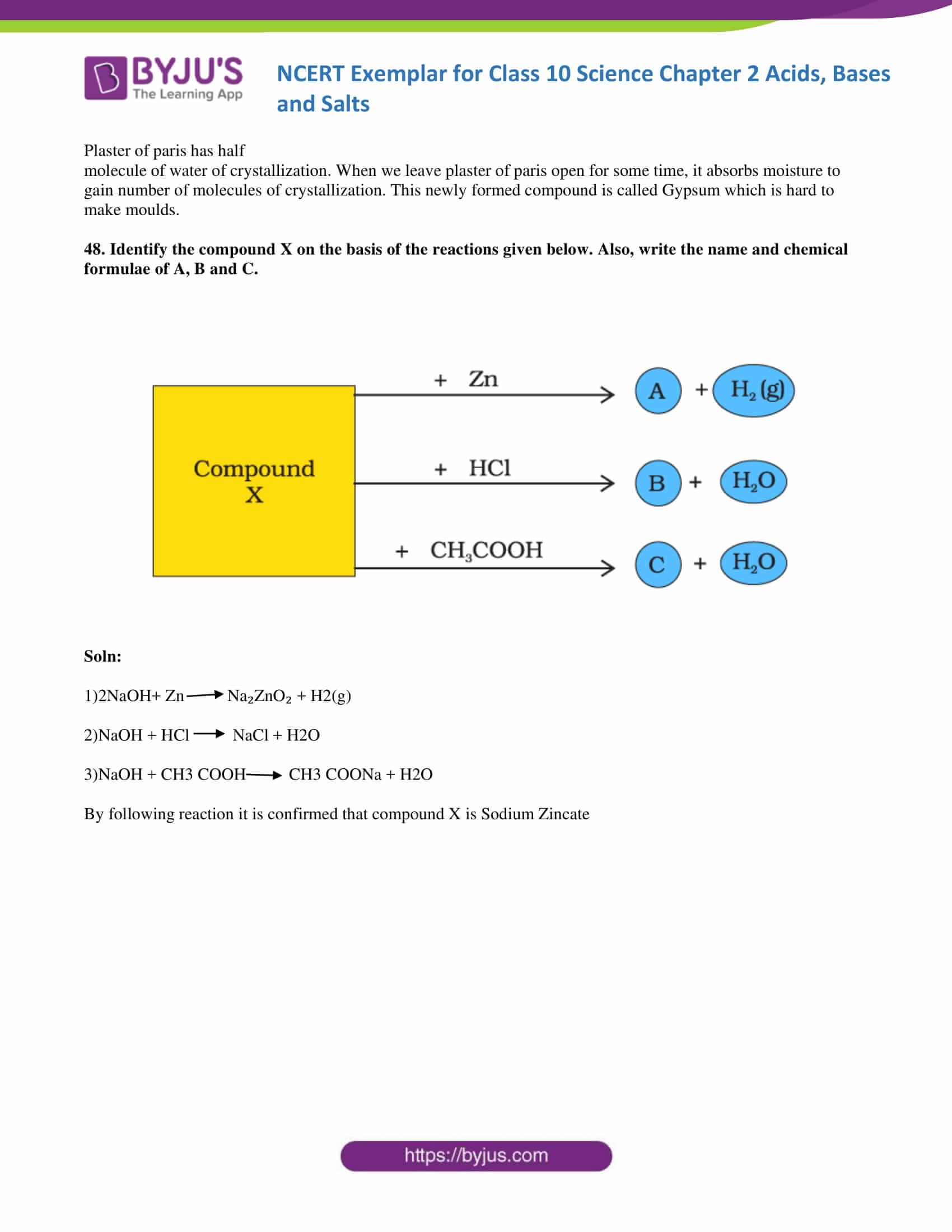 NCERT Exemplar solution class 10 Science Chapter 2 part 17