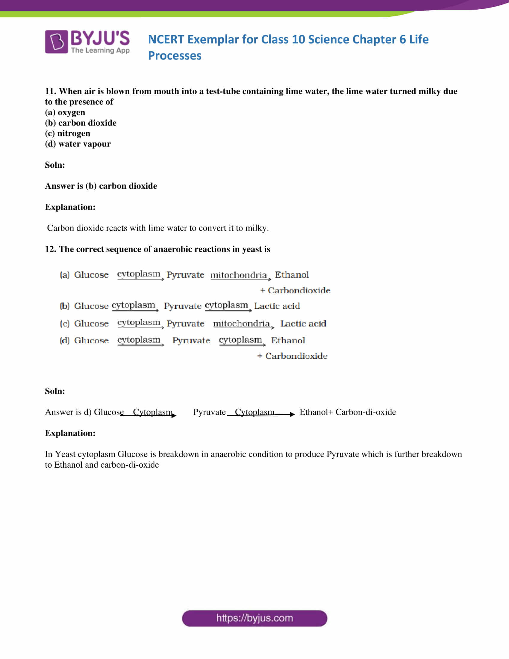 NCERT Exemplar solution class 10 Science Chapter 6 part 04