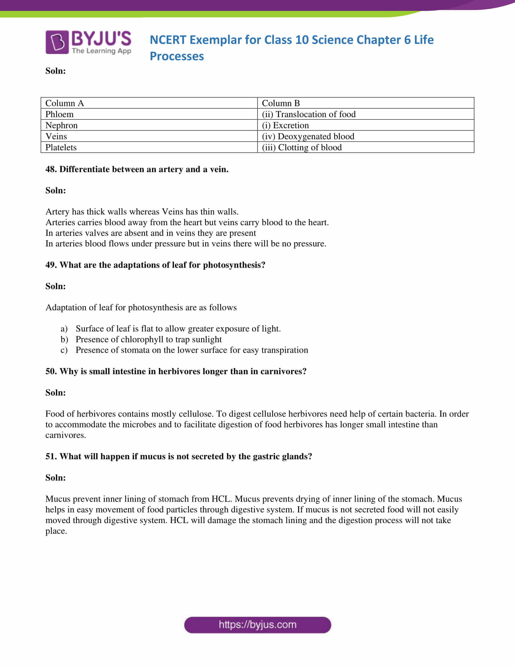 NCERT Exemplar solution class 10 Science Chapter 6 part 16