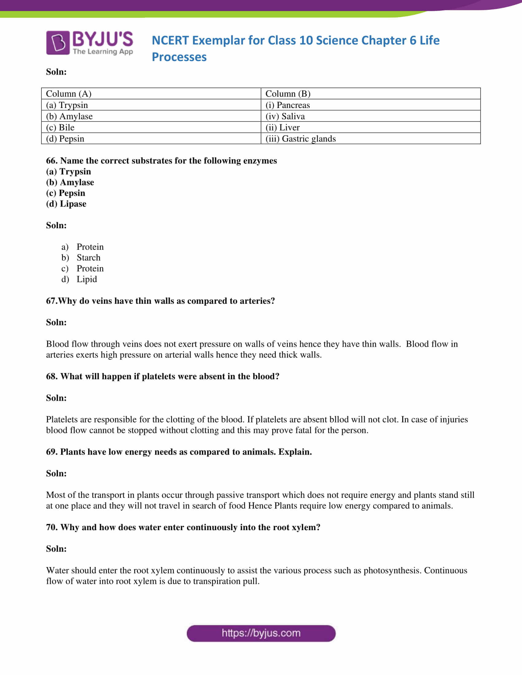 NCERT Exemplar solution class 10 Science Chapter 6 part 20