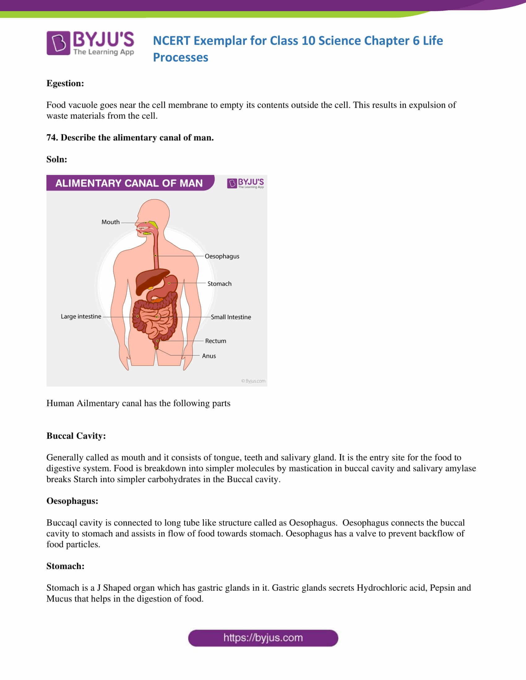 NCERT Exemplar solution class 10 Science Chapter 6 part 22