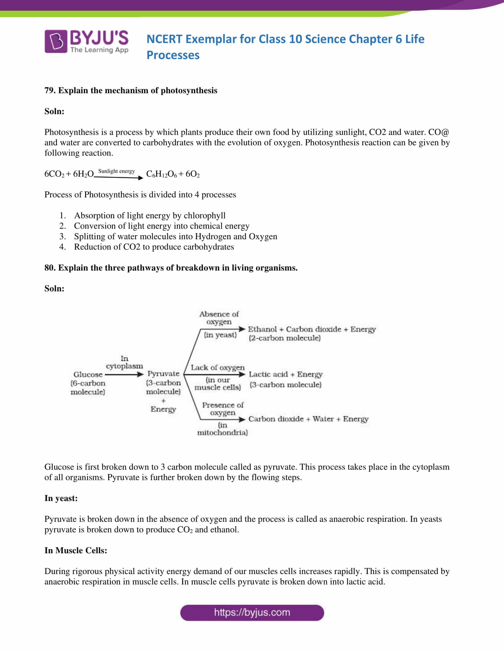 NCERT Exemplar solution class 10 Science Chapter 6 part 25