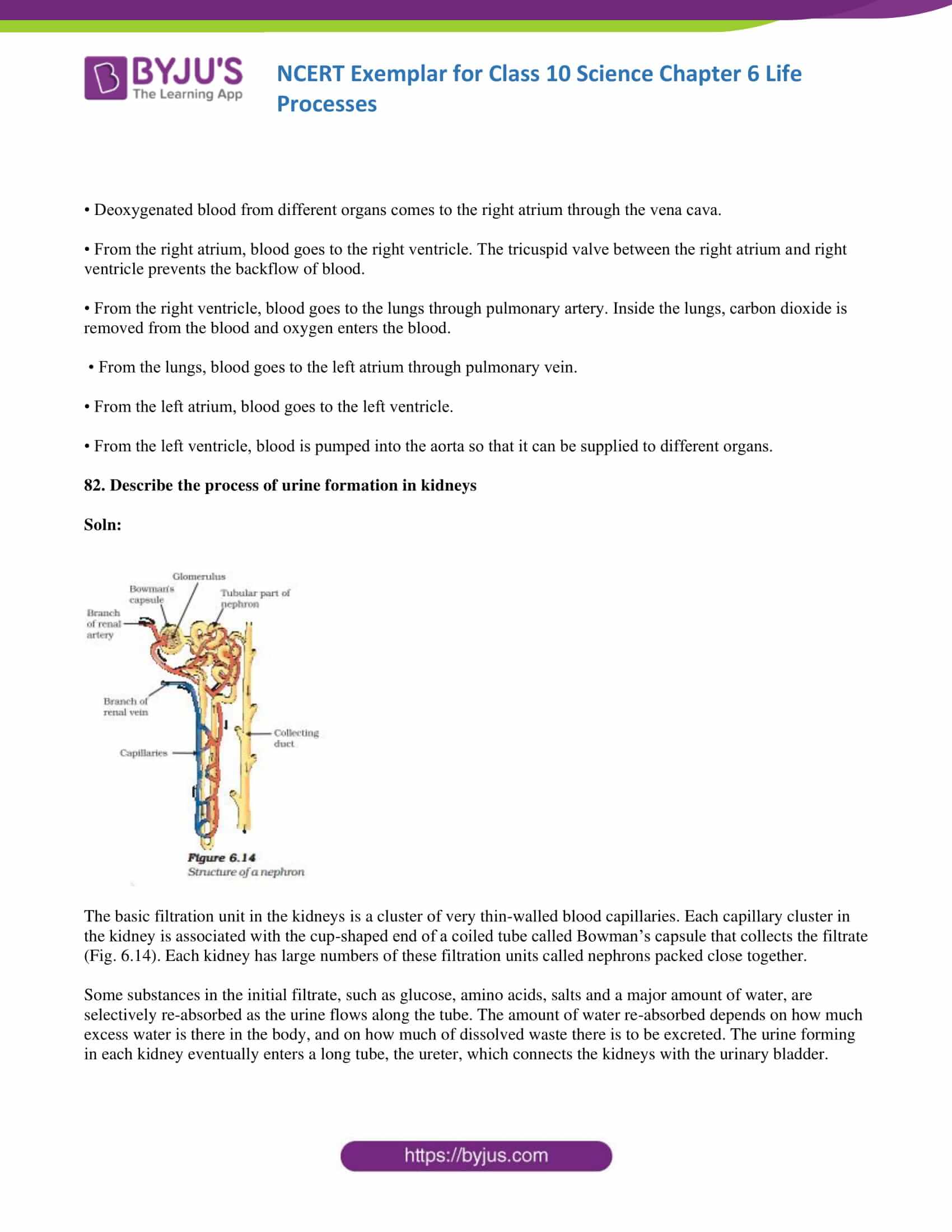 NCERT Exemplar solution class 10 Science Chapter 6 part 27