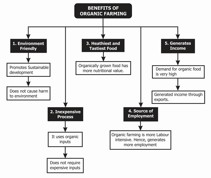 Types Of Organic Food & The Many Benefits Of Buying Organic