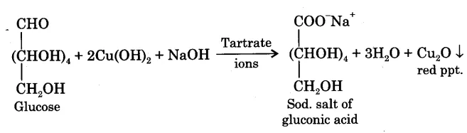 Fehling's Test