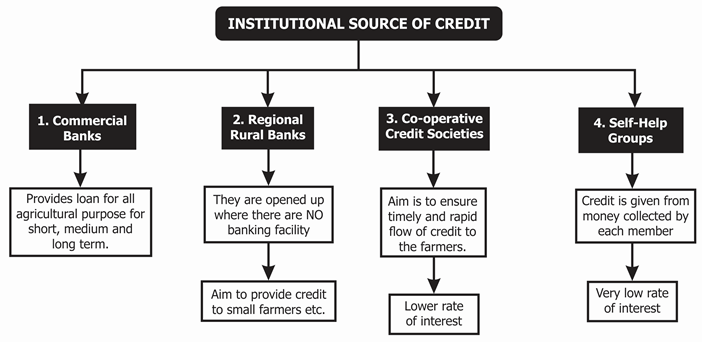 Institutional Source of Credit