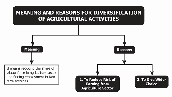 Meaning and Reasons for Diversification