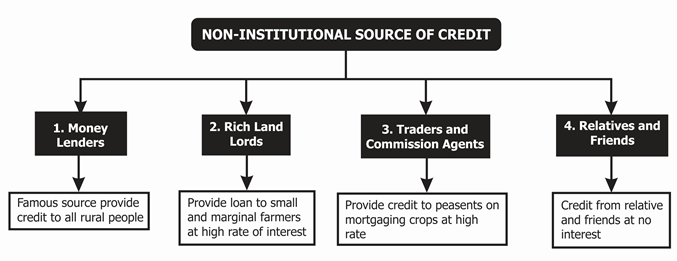 Non-Institutional Source of Credit