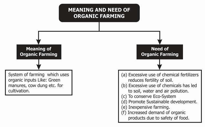 What Is The Importance Of Organic Farming