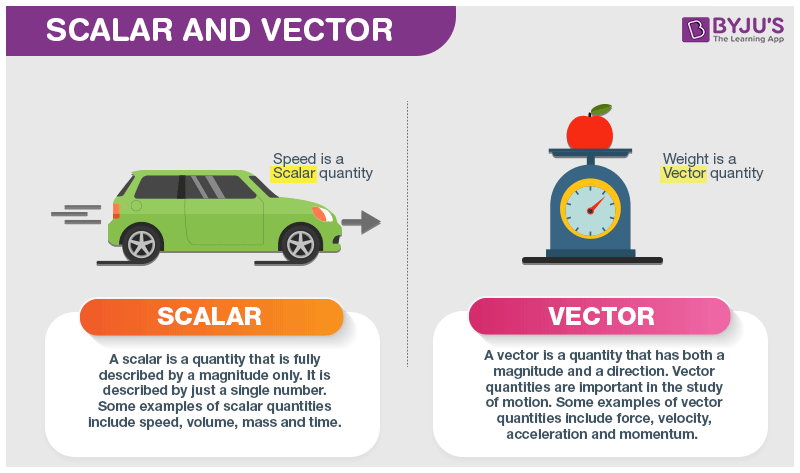 scalar and vector quantities