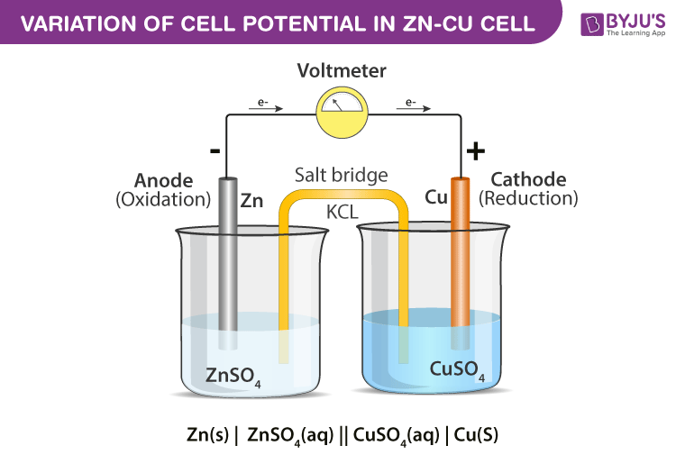 Variation of Cell Potential in Zn-Cu Cell