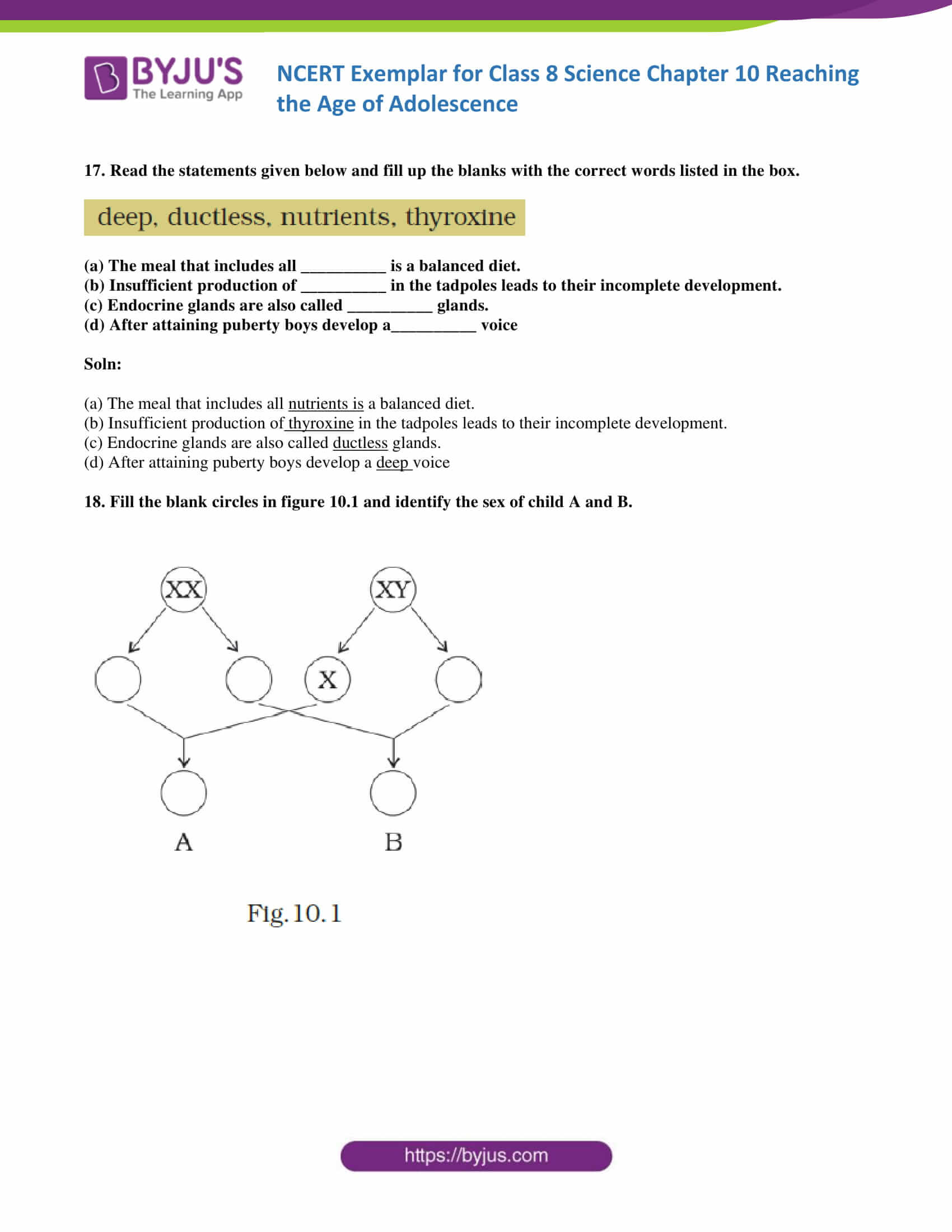 NCERT Exemplar solution class 8 Science Chapter 10 06