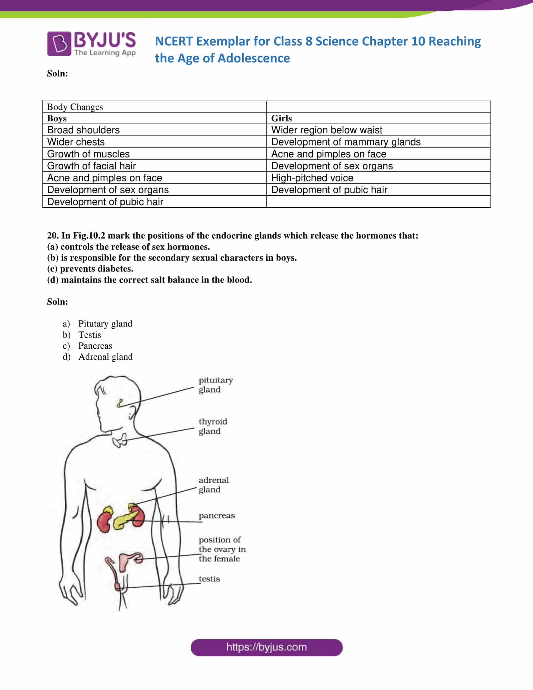 assignment class 8 science