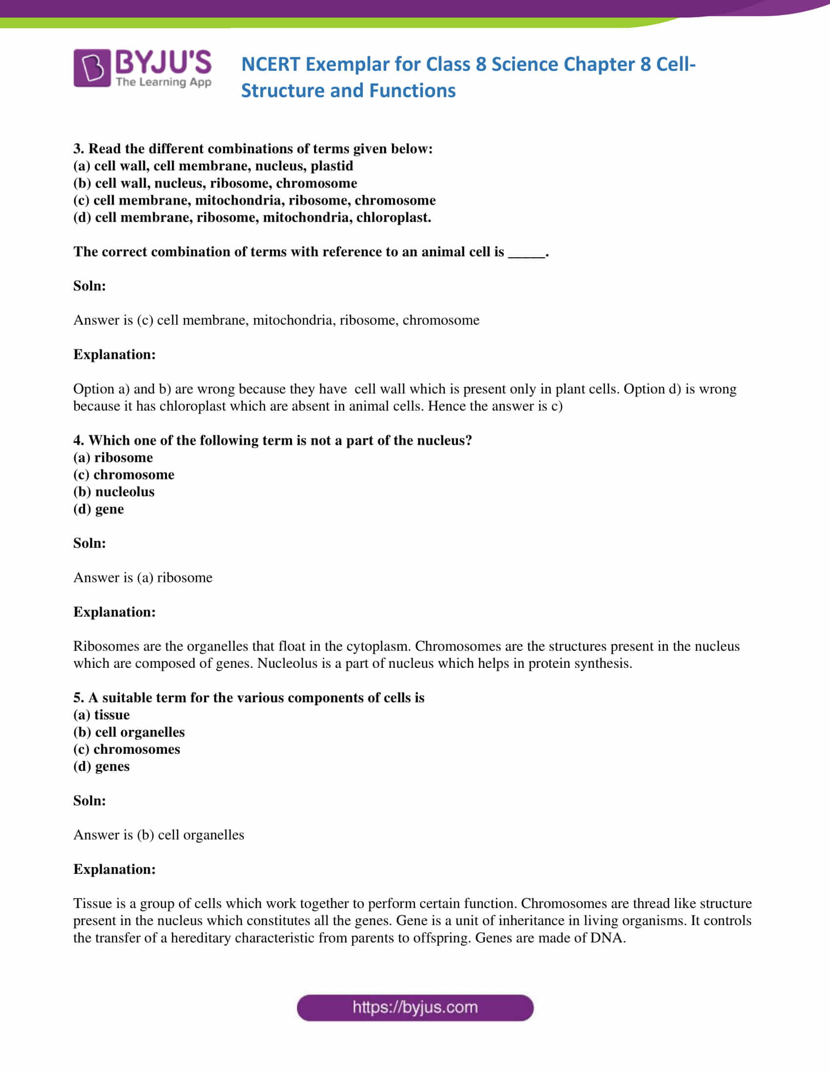 NCERT Exemplar solution class 8 Science Chapter 8 02