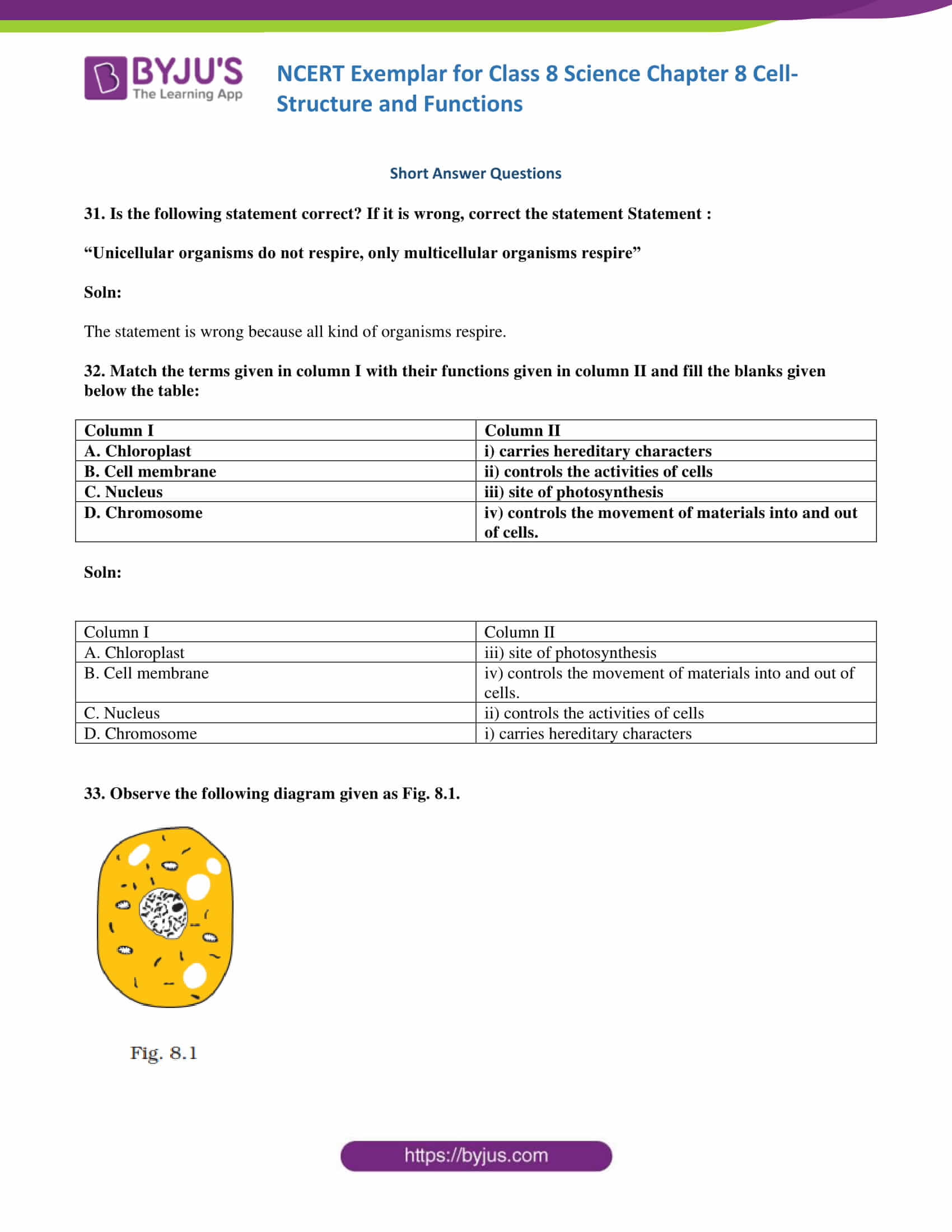 NCERT Exemplar solution class 8 Science Chapter 8 10