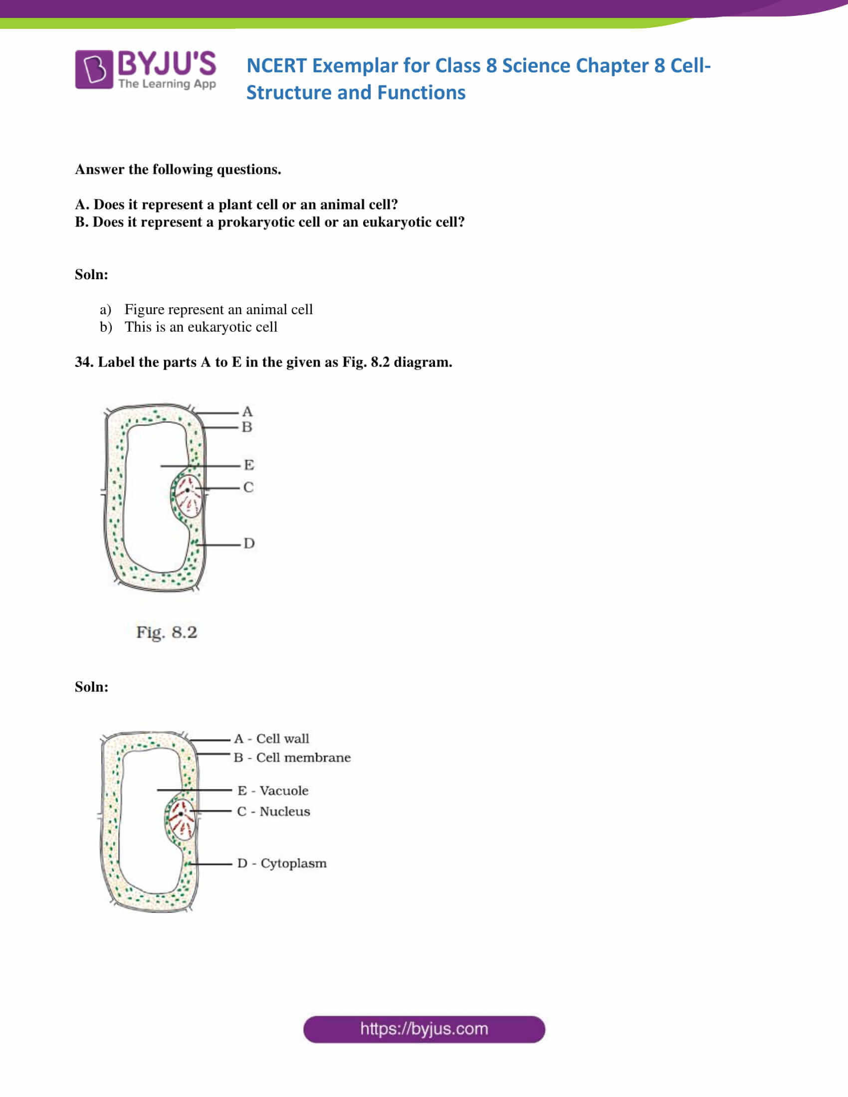 Ncert Exemplar Class 8 Ncert Exemplar Science Solutions Chapter 8 Cell Structure And Functions