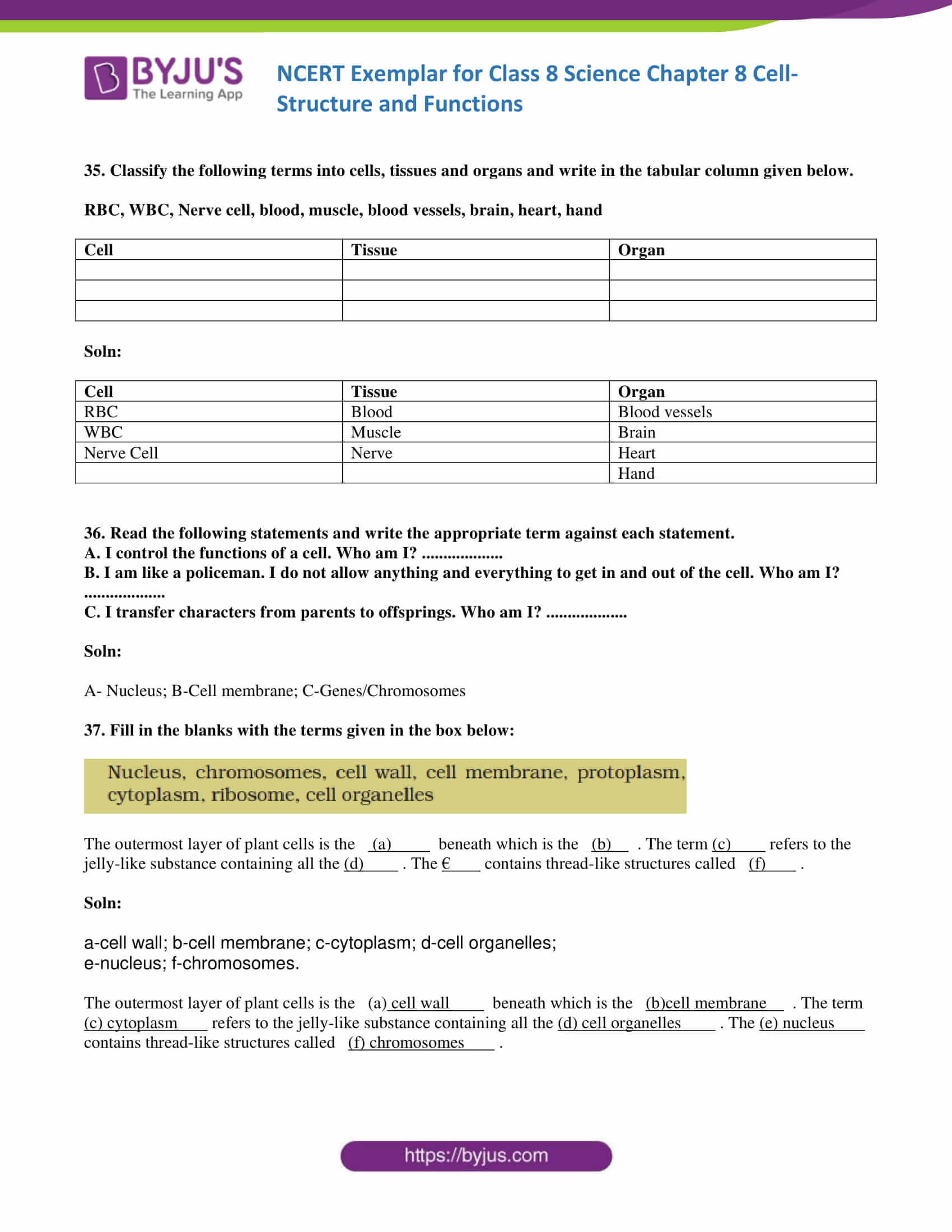 NCERT Exemplar solution class 8 Science Chapter 8 12