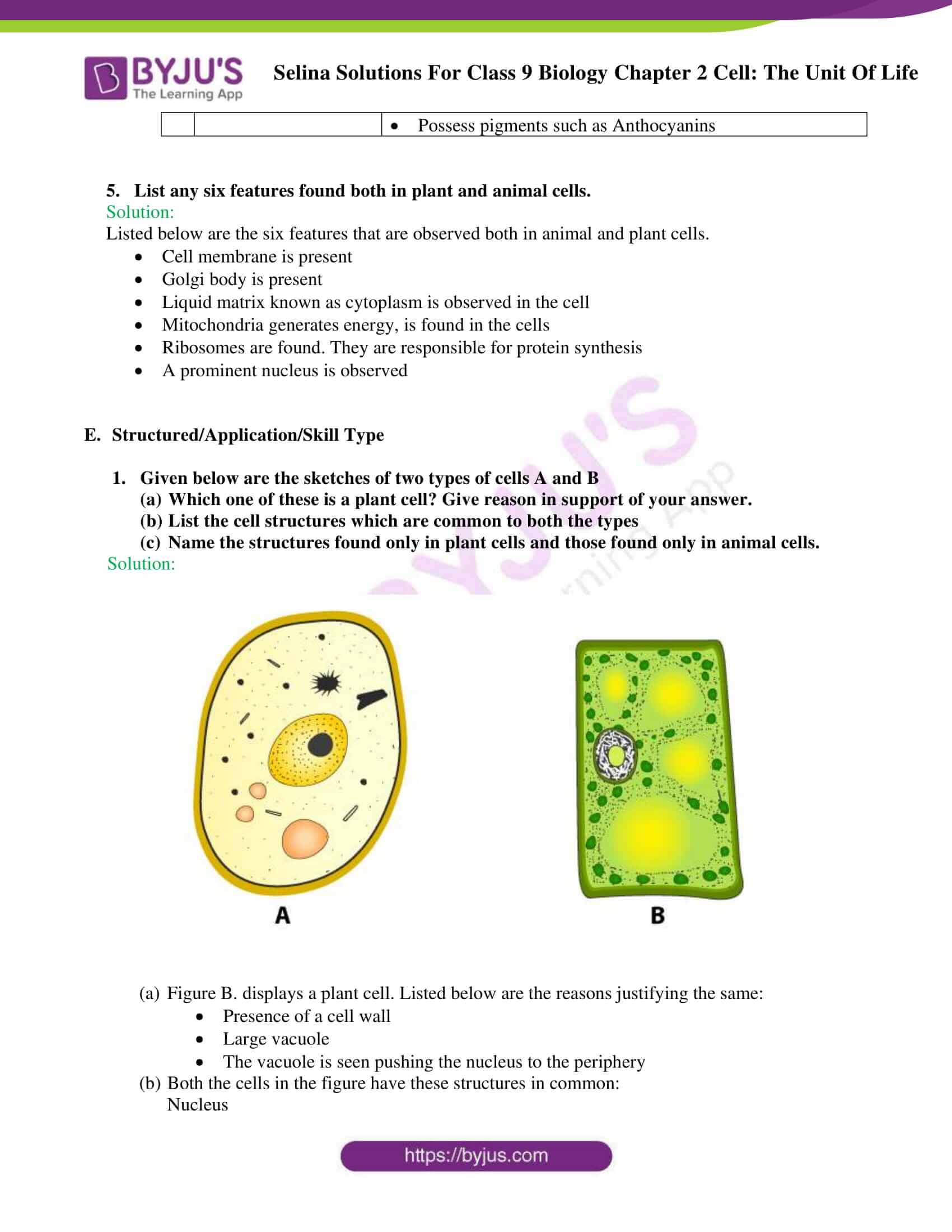 Selina Concise Class 6 Biology Chapter 3 Cell The