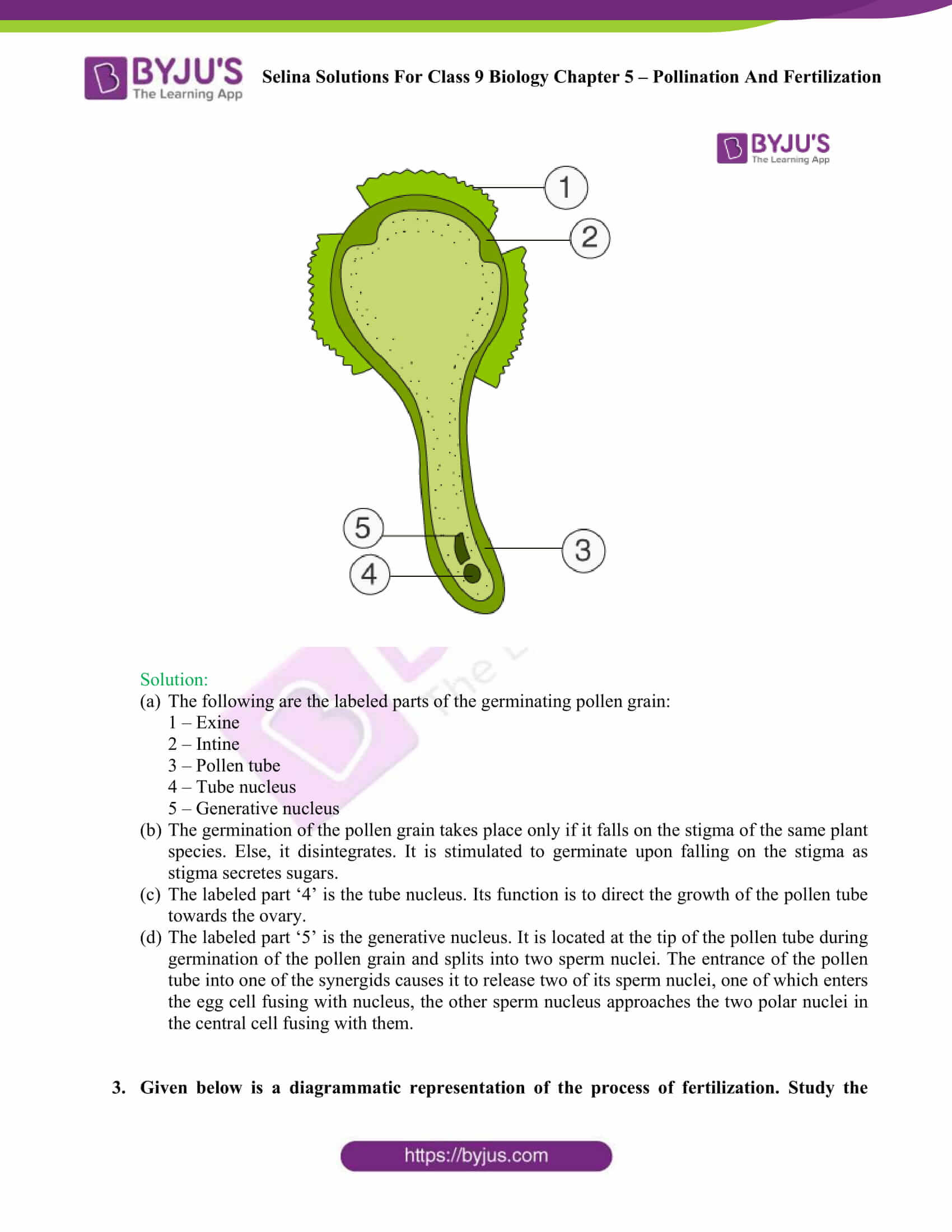 Selina Solutions Class 9 Concise Biology Chapter 5 Pollination And ...