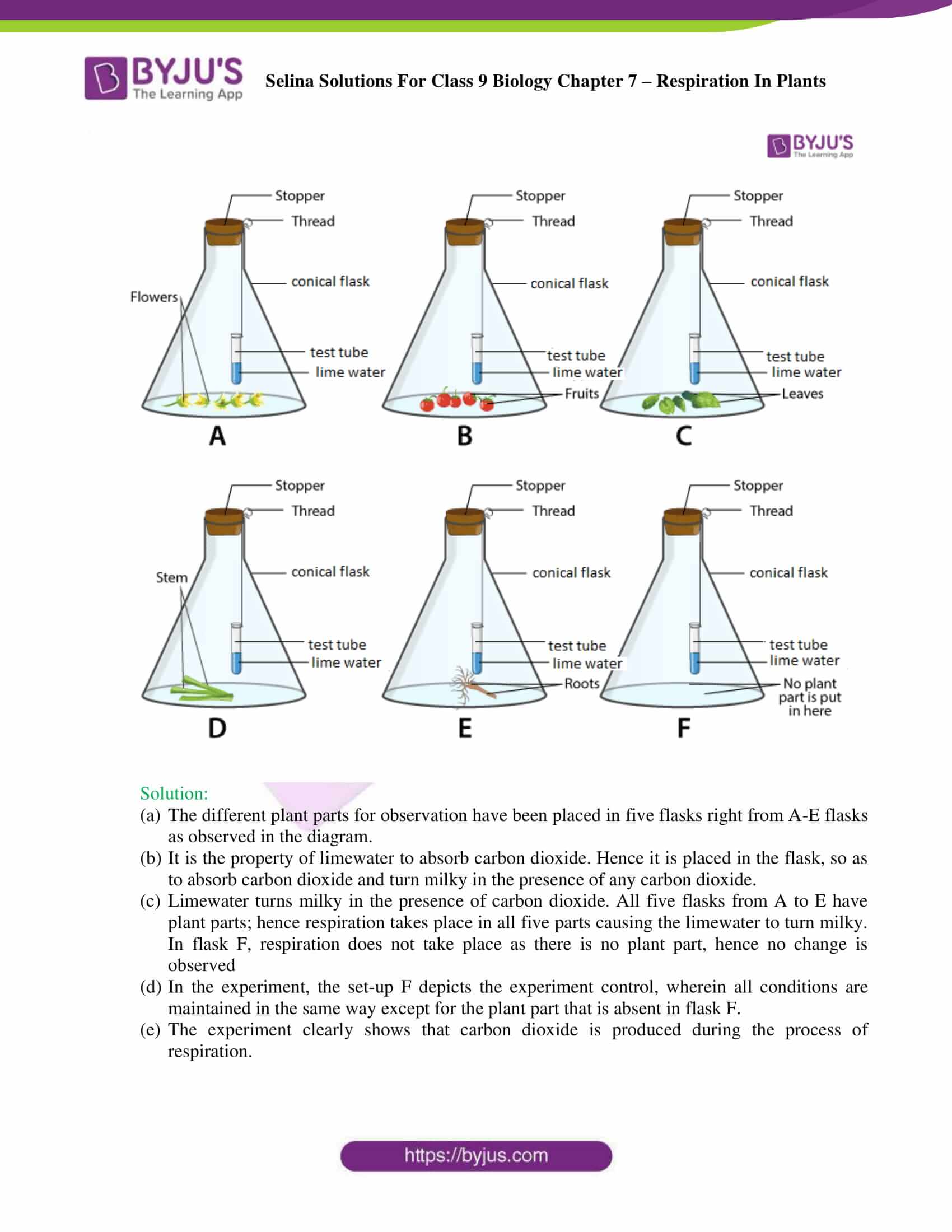 Selina Solutions For Class 9 Biology Chapter 7 Respiration In Plants part 14