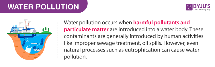 types of pollution essay