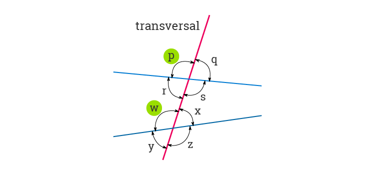 alternate interior angles ~ A Maths Dictionary for Kids Quick