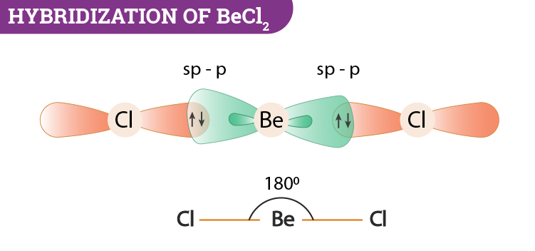  Hybridization of BeCl2 