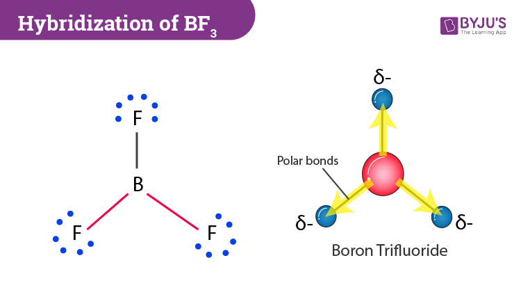 bh3 hybridization