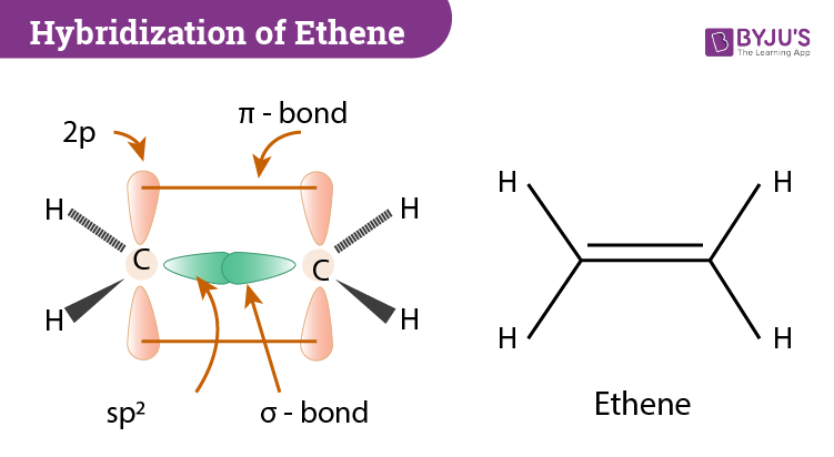 Hybridization of C2H4 Ethene Hybridization of Carbon in C2H4