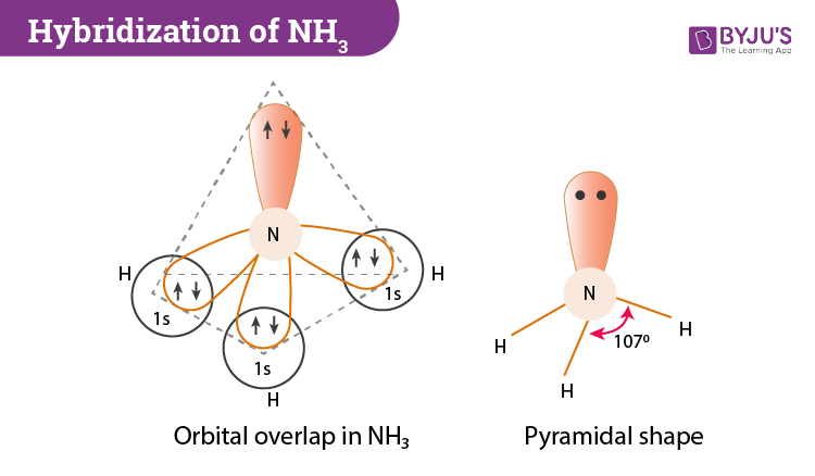 Hybridization of NH3