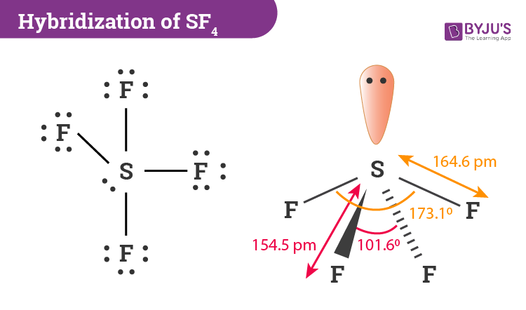 how does the hybridization of the sulfur atom change in the series sf2, sf4, sf6?