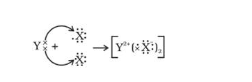 the electron dot structure