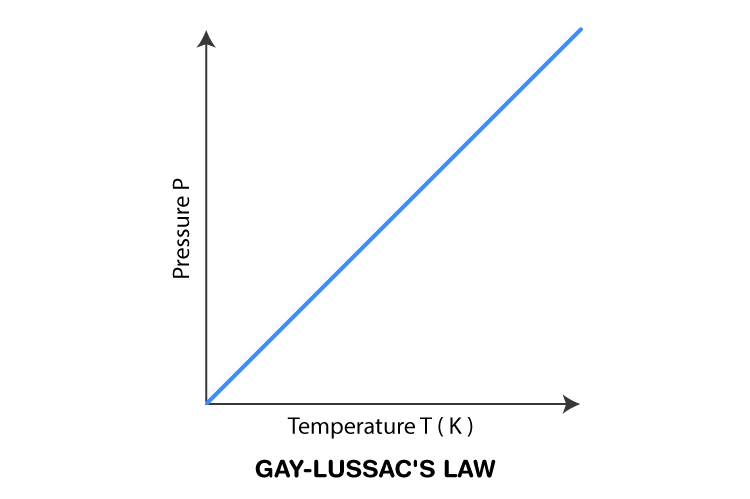 Behaviour Of Gas Molecules Factors Affecting Gas Laws Kinetic 