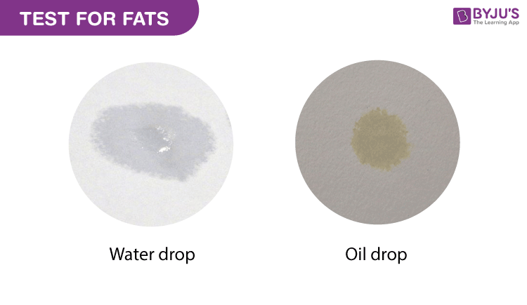 Test For Fats Biology Practicals for Class 12 With Viva Questions