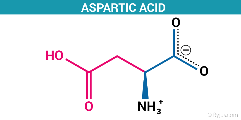 aspartate structure