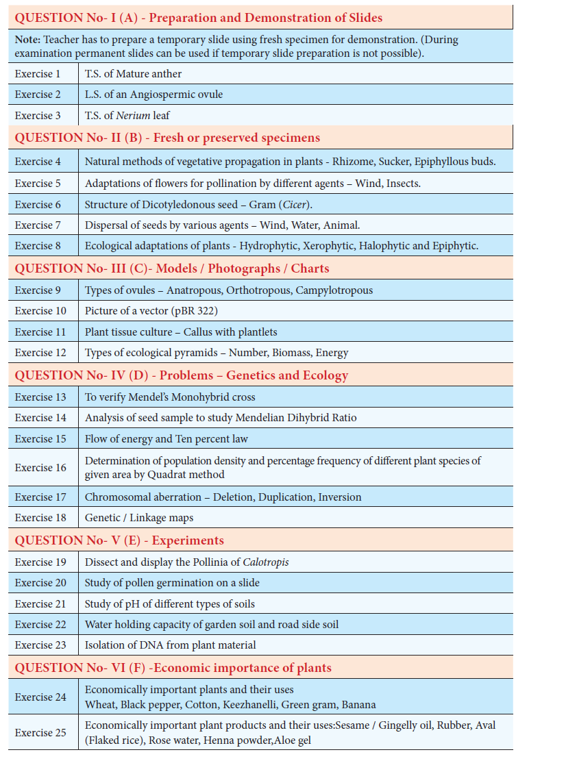 9-first-grade-science-experiment-worksheet-scientific-method