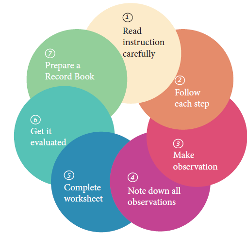 flow chart of steps to follow while doing practicals